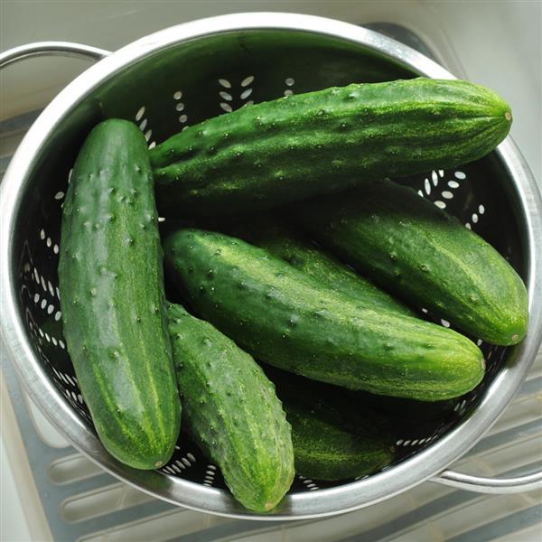 Cucumber Slicing