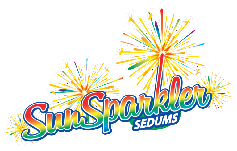 Sunsparkler