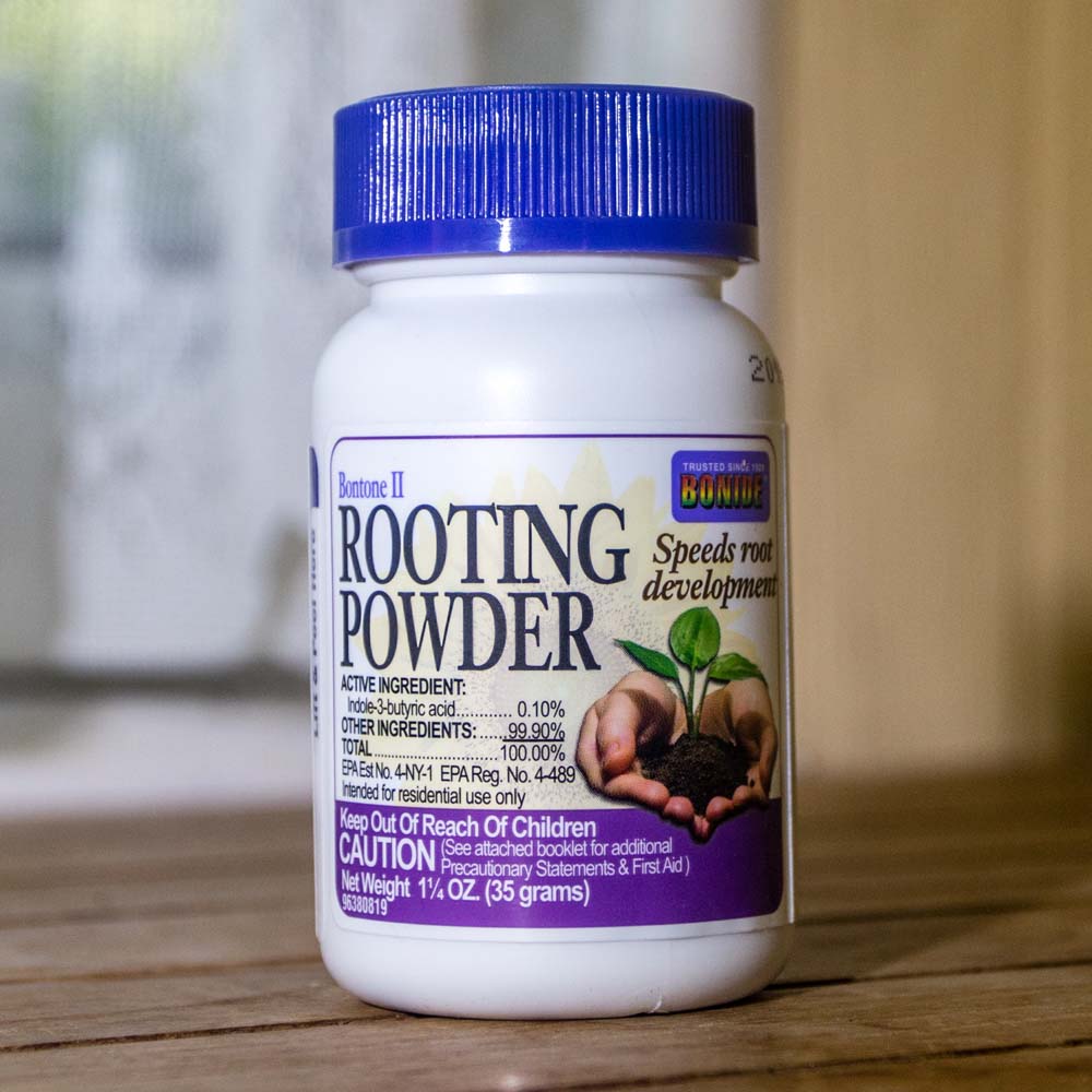  Herbs Alkanet Root Powder : Patio, Lawn & Garden