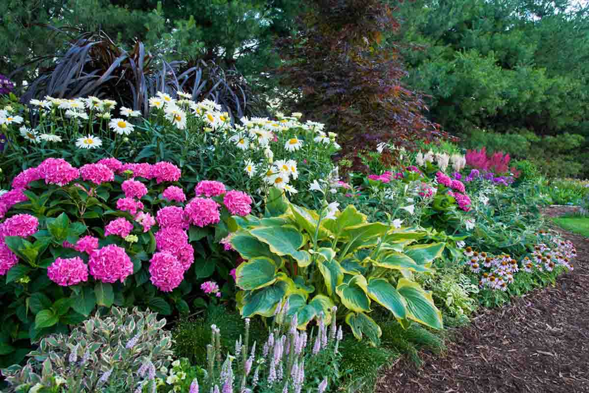 St Louis Landscape Company Sugar Creek Gardens St Louis Landscape Company Sugar Creek Gardens