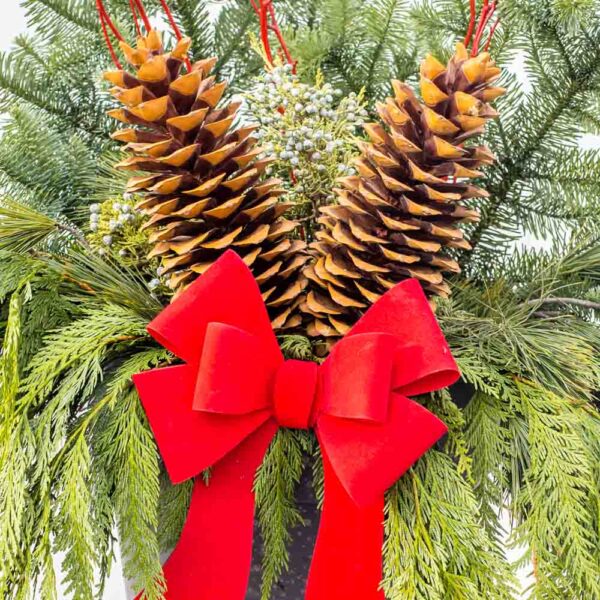 Fresh Cut Evergreen Mixed Container – Merry and Bright