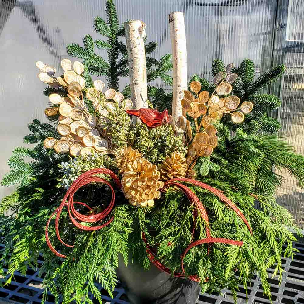 How to Arrange You Evergreen Bundle - Sugar Creek Gardens