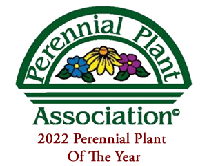Perennial Plant Association 2022 Perennial Plant Of The Year