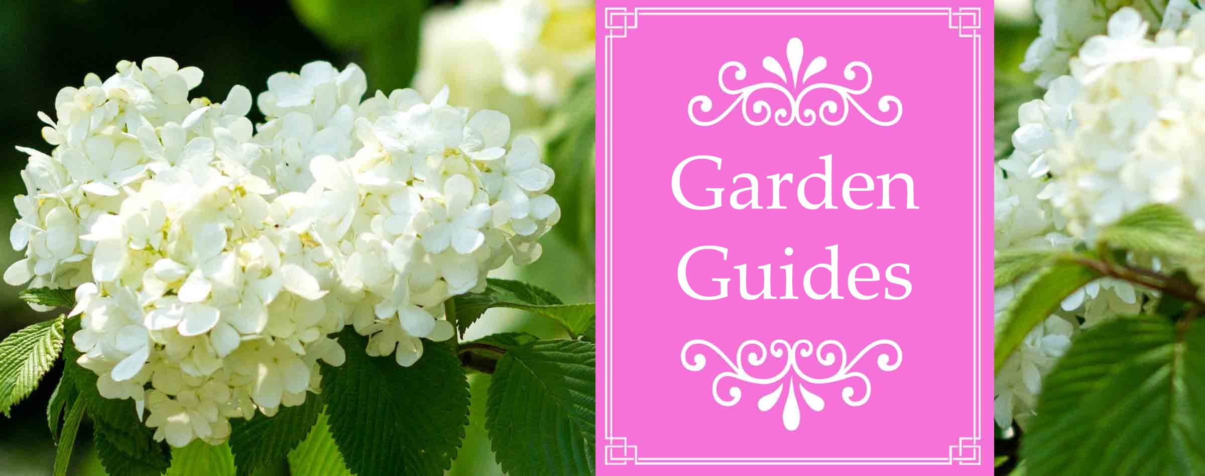 Garden Guides