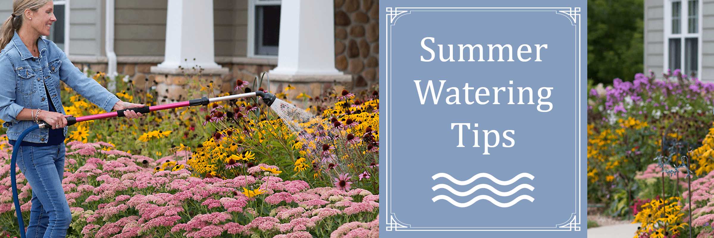 summer Watering Tips