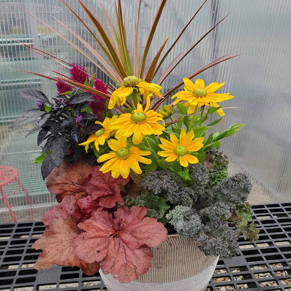 Fall Mixed Containers