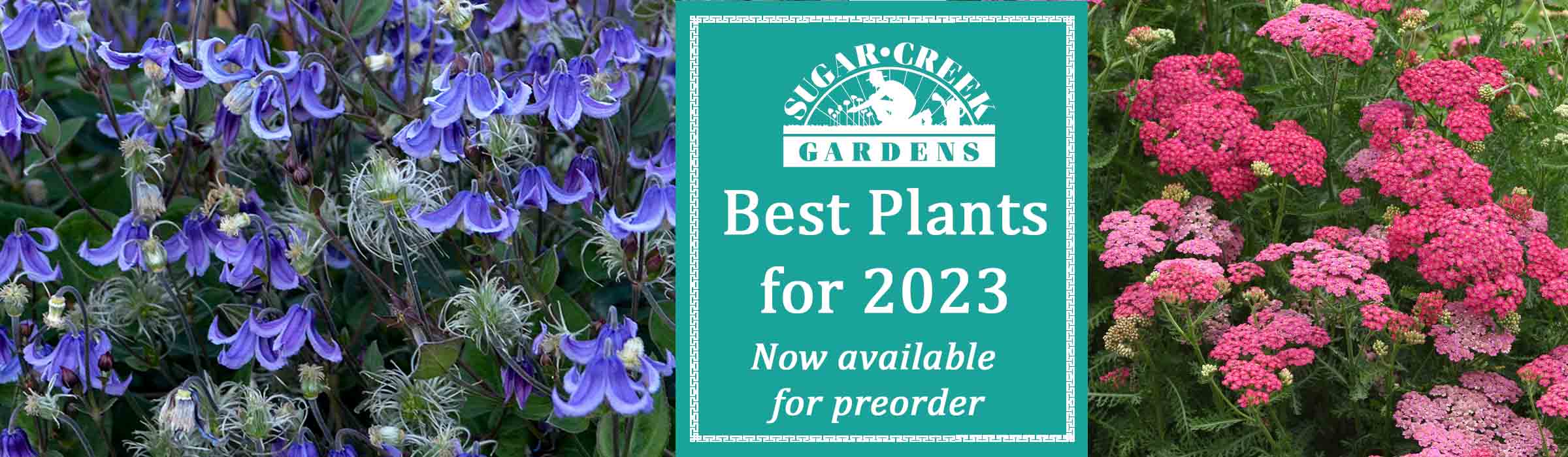 Best Plants for 2023 preorder banner