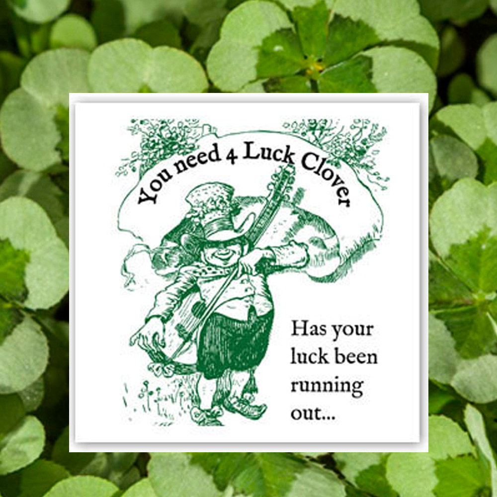 Trifolium – 4 Luck Green Glow 4 Leaf Clover