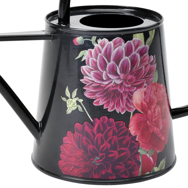 Watering Can British Bloom