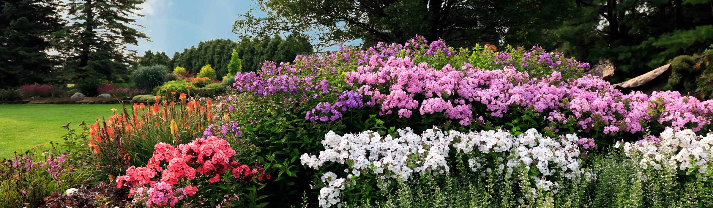 Find perennials at Sugar Creek Gardens
