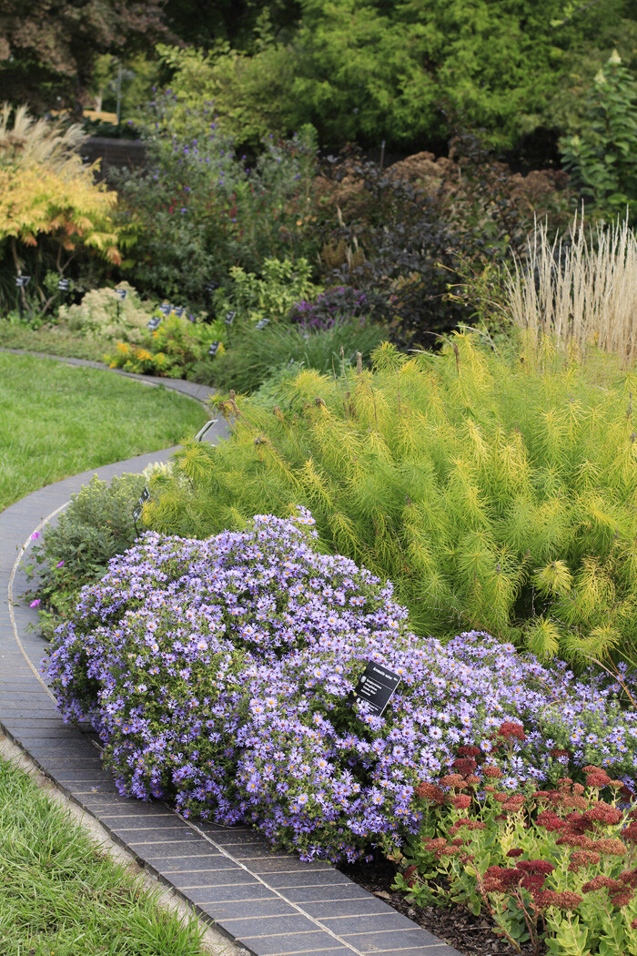 Sugar Creek Gardens | Plant Nursery for Missouri & IllinoisGarden